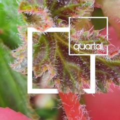 quartal. podcast with Funes