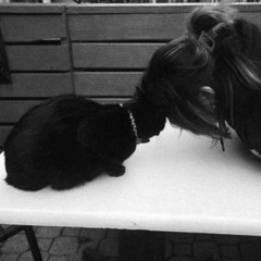 WARNING [ everestdidthis ]