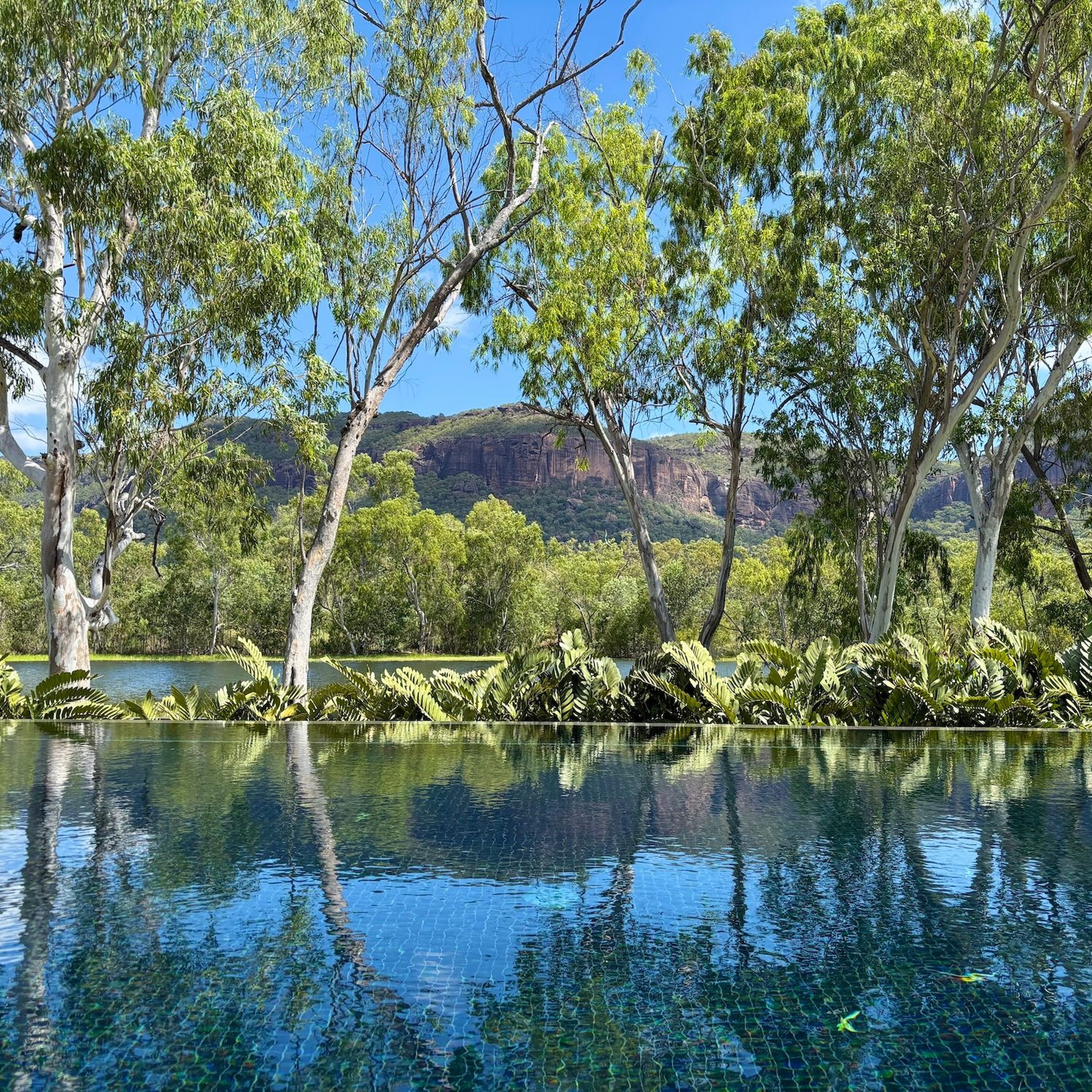 Australia's Largest Monolith is Not Uluru - Emily McAuliffe episode artwork