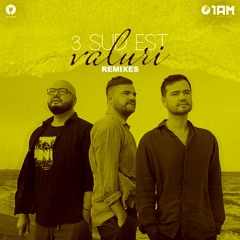 3 Sud Est - Valuri (DJ Marvio & Lucian Iordache Remix)