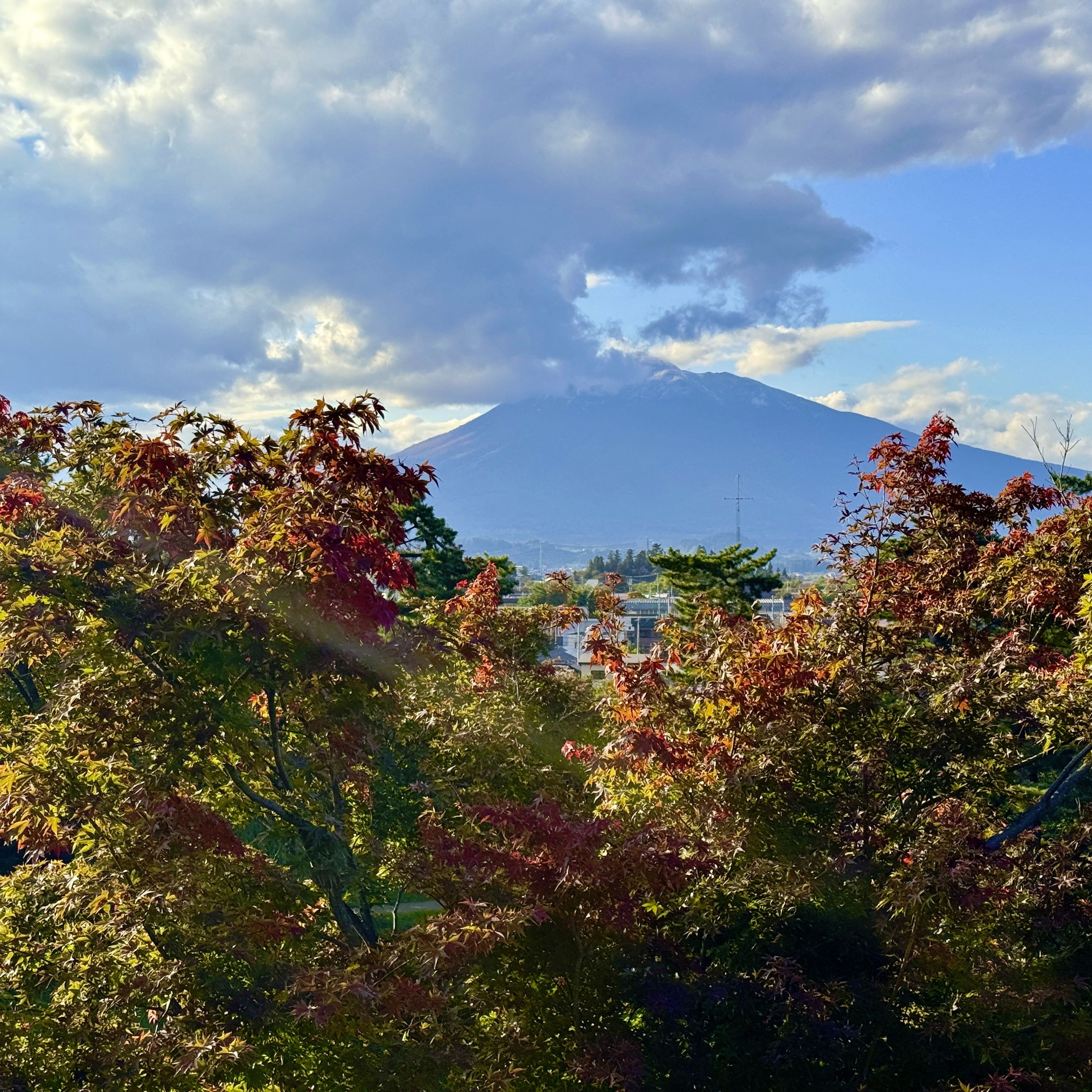 Japan's Best Experiences You've Never Heard Of -Carolyne Jasinski episode artwork