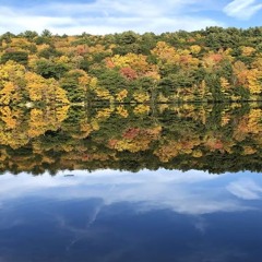Stillwater