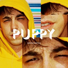 BROCKHAMPTON - PUPPY (FULL ALBUM) (natty)