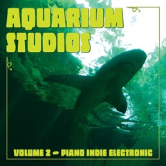 Aquarium Studios - Vol 2 - Piano Indie Electronic
