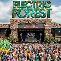 Black Carl! Live @ Electric Forest 2023 Tripolee (BIRTHDAY SET!) Link to Video of set in description
