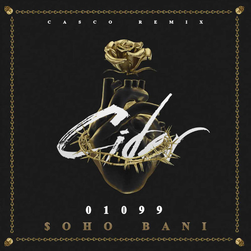 01099 x $OHO BANI - Cider (Casco Remix)