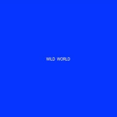 Wild World