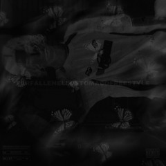 FARFALLENELLOSTOMACOFREESTYLE