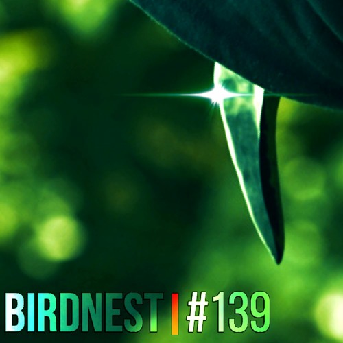 BIRDNEST #139