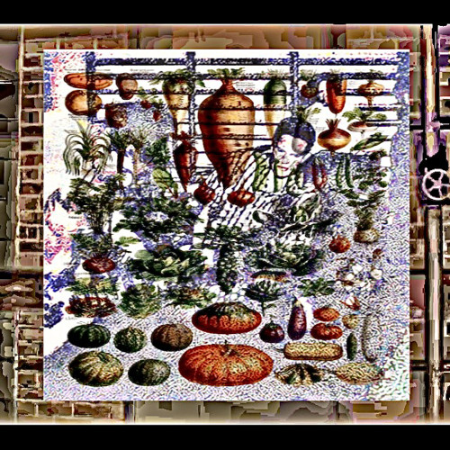 a walk down the pulga and past the liquor store (FEAT.jerseyhippie)