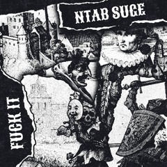 NTABSUGE - Fuck It