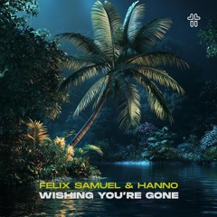 Wishing You're Gone