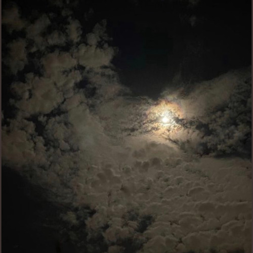 هزتني الذكرى.