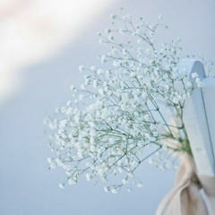 Người Kế Nhiệm (后继者) - Nhậm Nhiên (任然)