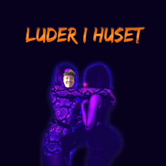 KNARKPATRULLEN - Luder i huset (Speed Up)