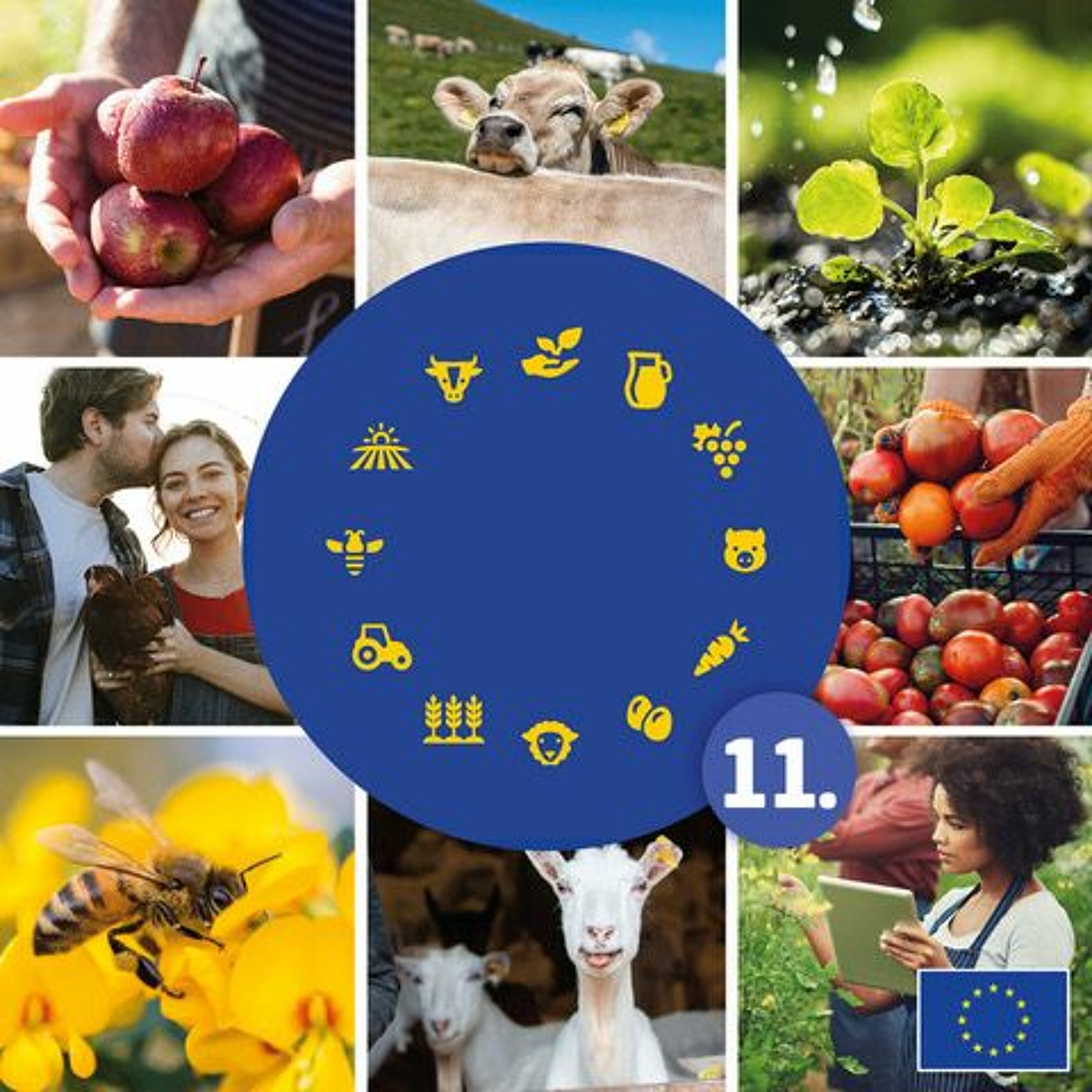 Food for Europe