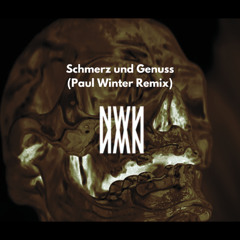 Noise Not War - Schmerz & Genuss (Paul Winter Remix) free dl