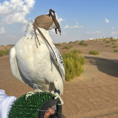 ‎⁨حان الوعد - مسفر السندوانة (EXCLUSIVE) 2019 HD⁩.mp3