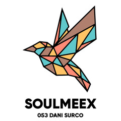 Dani Surco - SOULMEEX 053