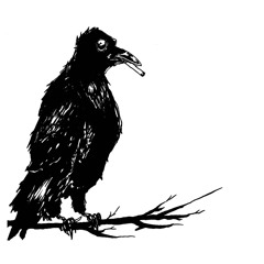 life is too repetitive to matter