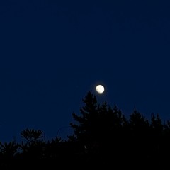 Por La Última Calle