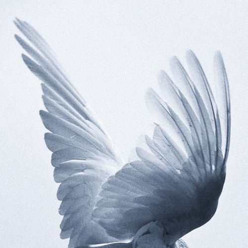 temp##### savior####