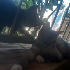 luna, obrigado