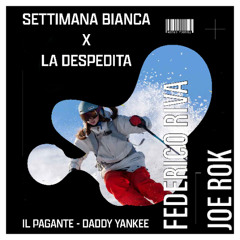 SETTIMANA BIANCA x LA DESPEDITA - IL PAGANTE - DADDY YANKEE (FEDERICO RIVA & JOE ROK MASHUP) PITCH