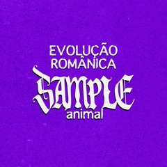 EVOLUÇÃO ROMÂNICA