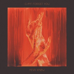 NEVR KNØW - Can't Forget You
