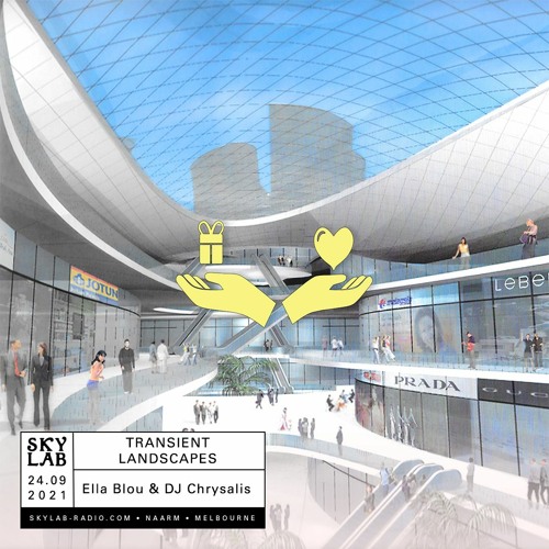 TRANSIENT LANDSCAPES ~EP 9~ With DJ Chrysalis 24/09/21