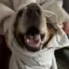 hardgroove