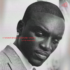 I WANNA LOVE YOU - LT3 REMIX