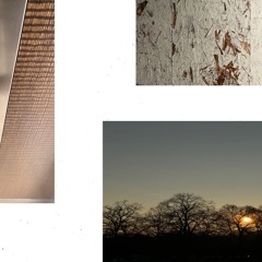 photographs no mix p. co5ic , beverly hate ( unreleased )  #skins