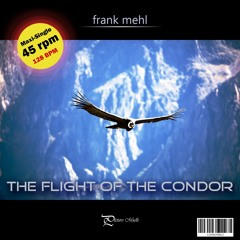The Flight Of The Condor