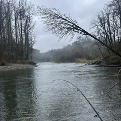 cape disappointment 2024-11-17