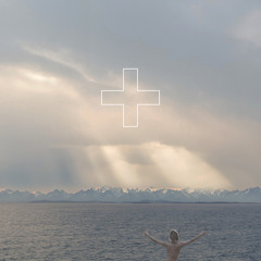 lie cover