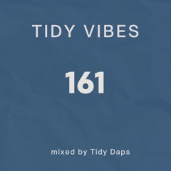 Tidy Vibes 161