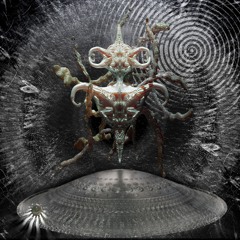 TL premiere: OTON - Subspheraa [TRNVA003]