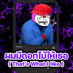 ผมมีดอกไม้ให้เธอ 1 ช่อ (That's What i Like)