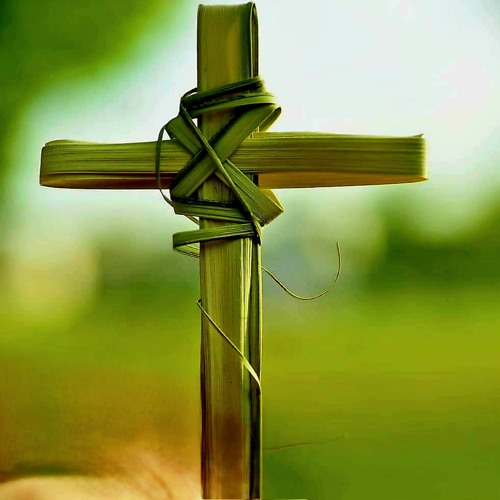 ReflectionHolyMonLiturgy4-29-24.m4a