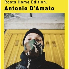 Roots Home Edition