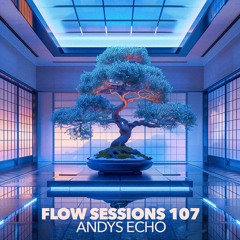 Flow Sessions 107 - Andy's Echo (live)