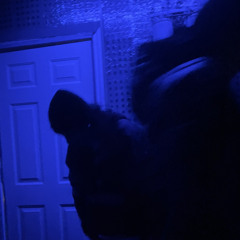 1sShadytownzfinest7 (outon allplatforms)