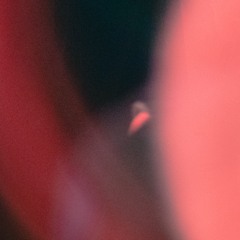 Goose And The Tiger V2