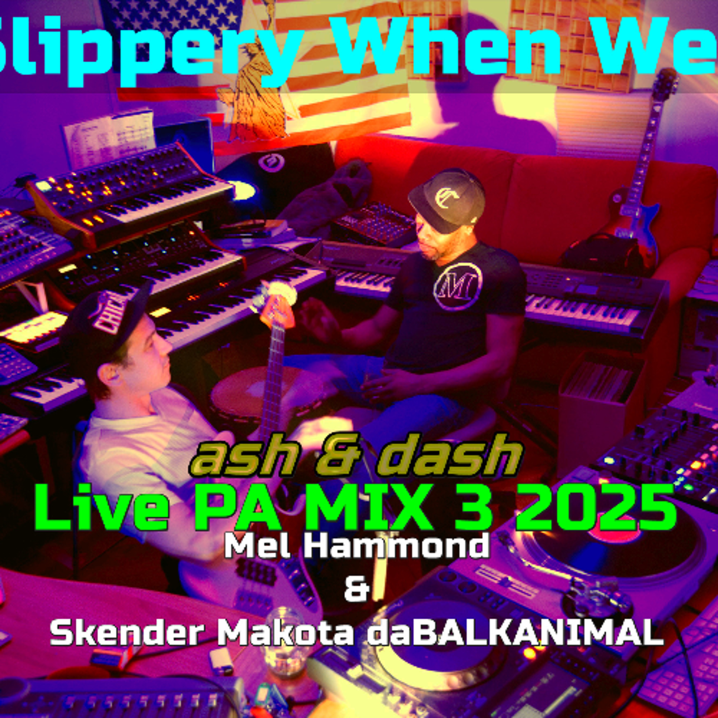 slippery when wet - Ash & Dash - Mel Hammond Skender Makota daBalkanimal Live PA MIX 3 2025
