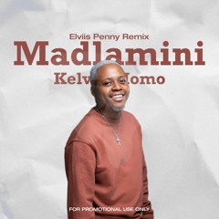 Kelvin Momo - Madlamini (Elviis Penny Remix) [FREE DOWNLOAD]