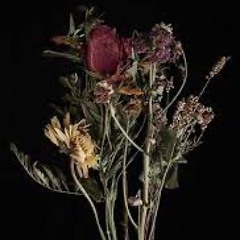 free bedcorpse abstract trap type beat 125 CM