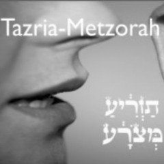 Culto Del Mattino Di Shabbat Parasha Tazria - Metzora  25 Aprile 2020