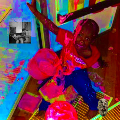 San junipero [Safari Phaladi]